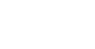 Bergamo Stars